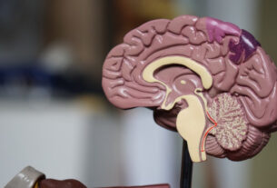 Cerebro
