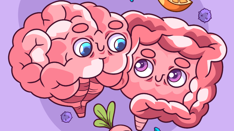 Conexión intestino-cerebro