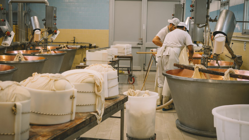 Industria panadera