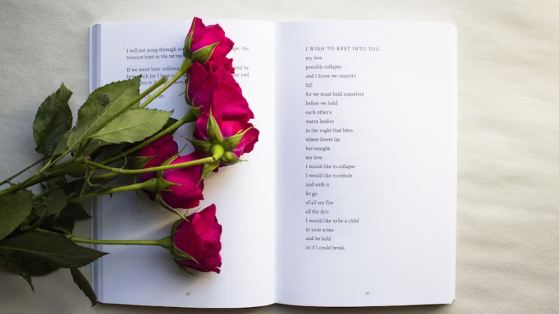 Poesía