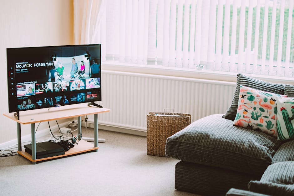 peliculas y programas de tv de jason momoa