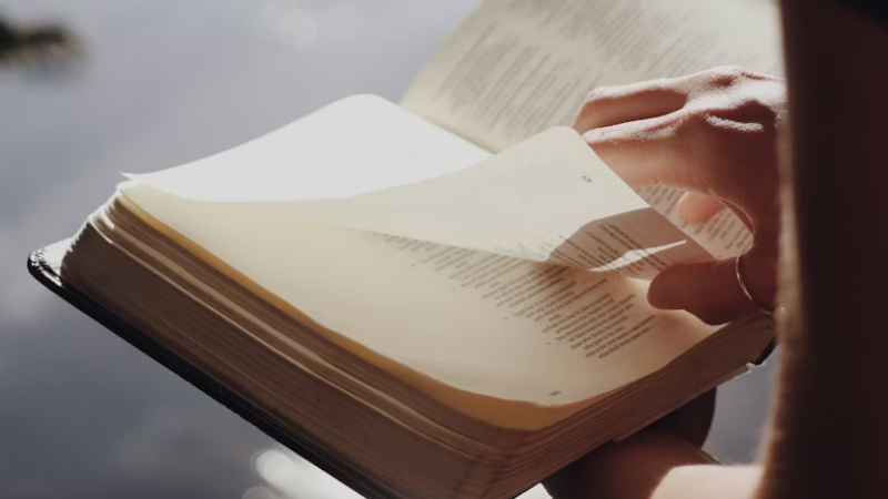 Qué significa soñar con excremento según la Biblia