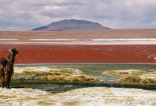 Pisos ecológicos de Bolivia